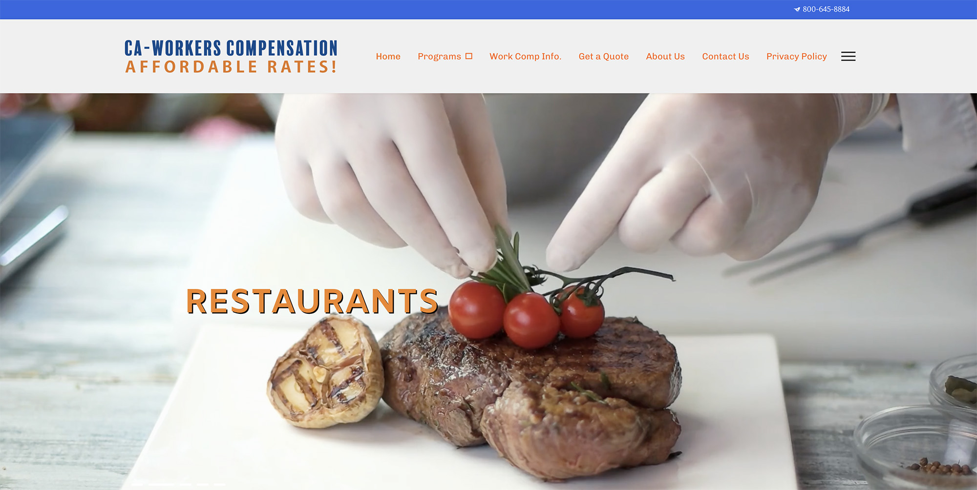 Website design sample, click to see the website